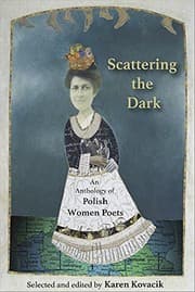 Tapa de Scattering the Dark