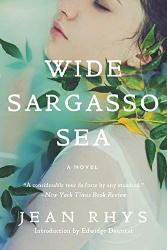 Tapa de Wide Sargasso Sea