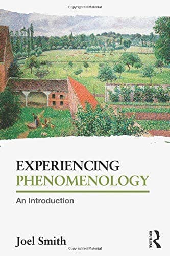 Tapa de Experiencing Phenomenology