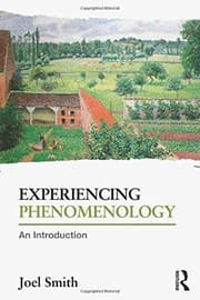 Tapa de Experiencing Phenomenology