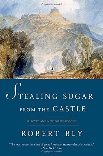 Tapa de Stealing Sugar from the Castle