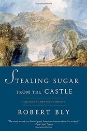 Tapa de Stealing Sugar from the Castle