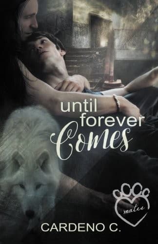 Tapa de Until Forever Comes