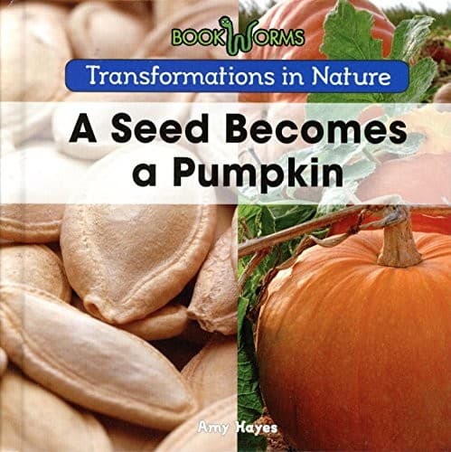 Tapa de A Seed Becomes a Pumpkin