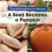 Tapa de A Seed Becomes a Pumpkin