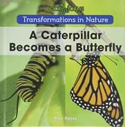 Tapa de A Caterpillar Becomes a Butterfly