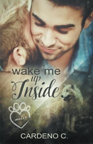 Tapa de Wake Me Up Inside