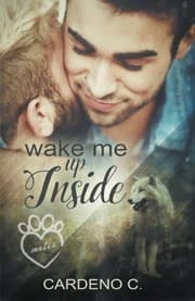 Tapa de Wake Me Up Inside