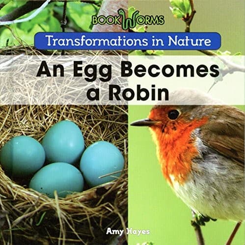 Tapa de An Egg Becomes a Robin