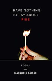 Tapa de I Have Nothing to Say about Fire