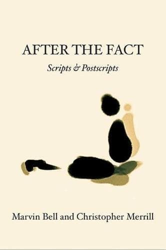 Tapa de After The Fact