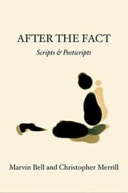 Tapa de After The Fact