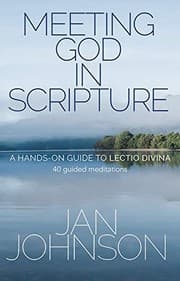 Tapa de Meeting God in Scripture
