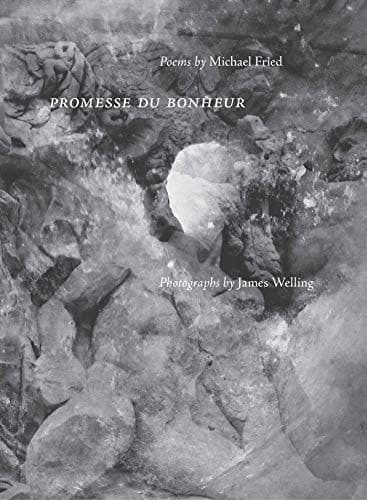 Tapa de Promesse du Bonheur