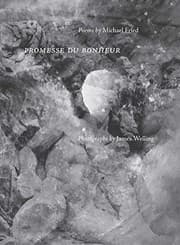 Tapa de Promesse du Bonheur