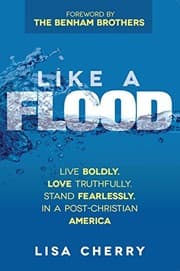 Tapa de Like A Flood