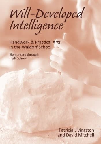 Tapa de Will Developed Intelligence