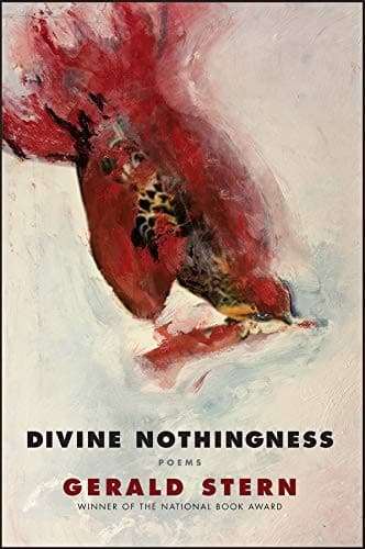 Tapa de Divine Nothingness