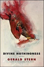 Tapa de Divine Nothingness