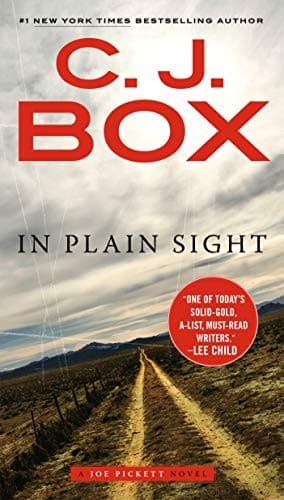 Tapa de In Plain Sight