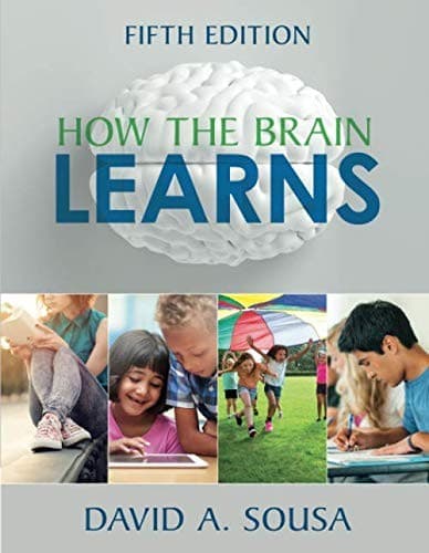 Tapa de How the Brain Learns
