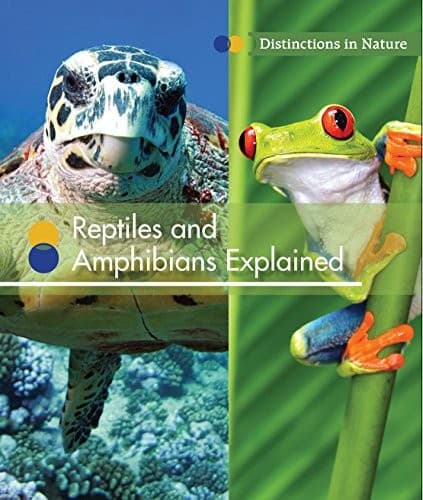 Tapa de Reptiles and Amphibians Explained