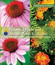 Tapa de Perennial Plants and Annual Plants Explained