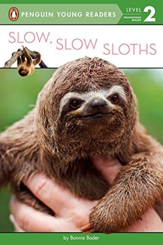 Tapa de Slow, Slow Sloths