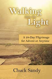 Tapa de Walking into the Light