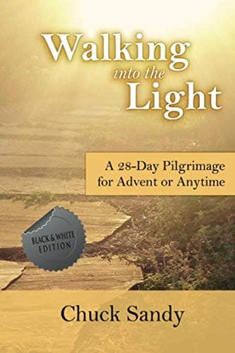 Tapa de Walking into the Light