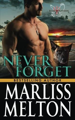 Tapa de Never Forget