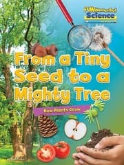 Tapa de Fundamental Science Key Stage 1 : From a Tiny Seed to a Mighty Tree