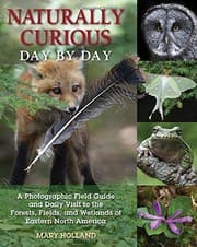 Tapa de Naturally Curious Day by Day