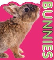 Tapa de Bunnies