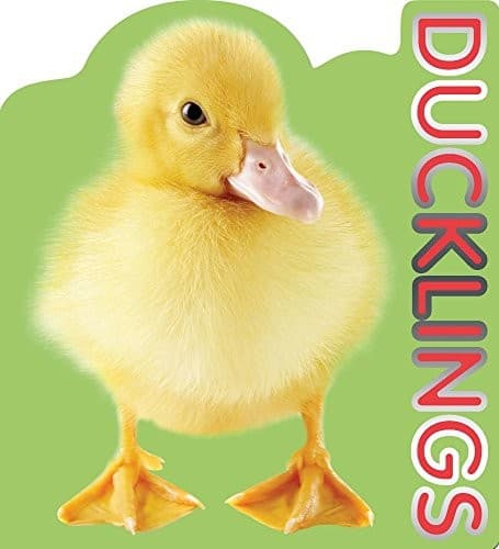 Tapa de Ducklings