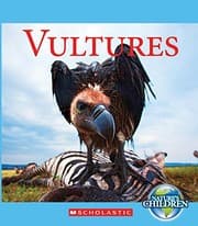 Tapa de Vultures