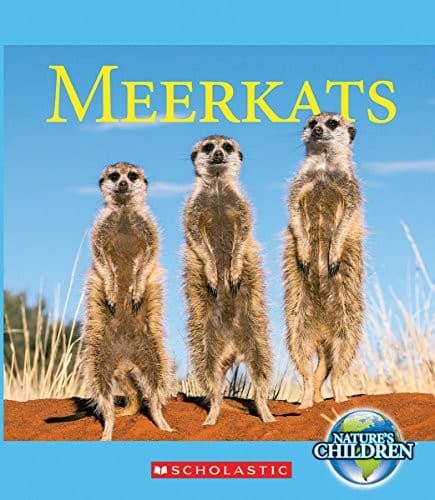 Tapa de Meerkats