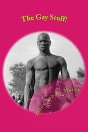 Tapa de The Gay Stuff!