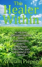 Tapa de The Healer Within
