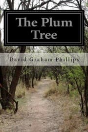Tapa de The Plum Tree