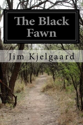 Tapa de The Black Fawn