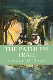 Tapa de The Pathless Trail
