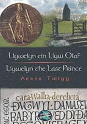 Tapa de Llywelyn Ein Llyw Olaf (Cip Ar Cymru)