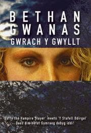 Tapa de Gwrach y Gwyllt