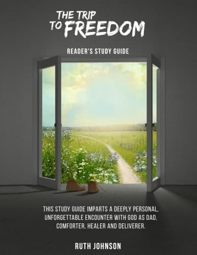 Tapa de The Trip to Freedom - Reader's Study Guide