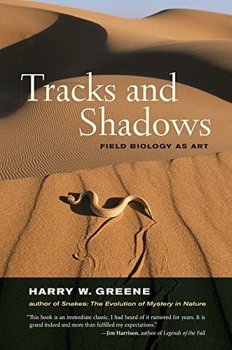 Tapa de Tracks and Shadows