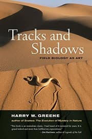 Tapa de Tracks and Shadows