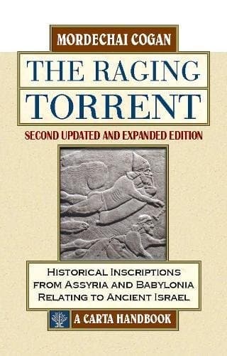 Tapa de The Raging Torrent