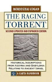 Tapa de The Raging Torrent