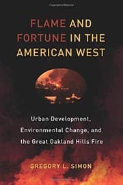 Tapa de Flame and Fortune in the American West